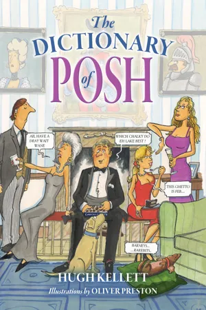 The Dictionary of Posh