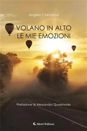 Volano in alto le mie emozioni