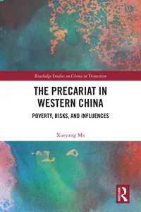 The Precariat in Western China_cover