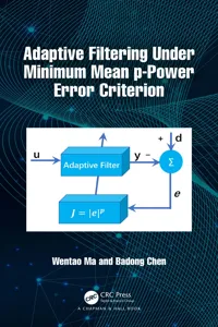 Adaptive Filtering Under Minimum Mean p-Power Error Criterion_cover