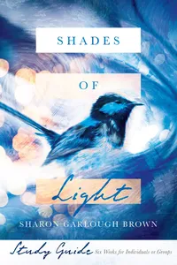 Shades of Light Study Guide_cover