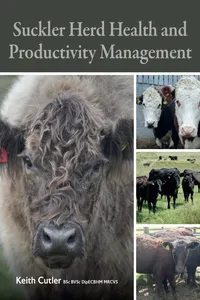 Suckler Herd Health and Productivity Management_cover