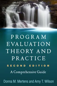 Program Evaluation Theory and Practice_cover