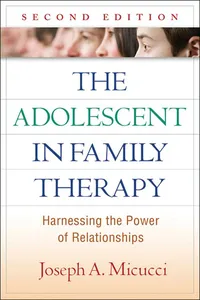 The Adolescent in Family Therapy_cover