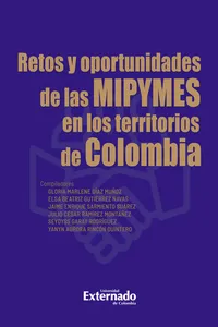 Retos y oportunidades de las MIPYMES en los territorios de Colombia_cover