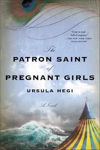 The Patron Saint of Pregnant Girls_cover