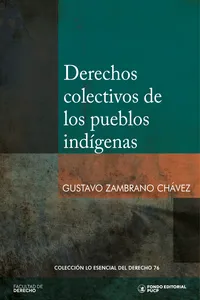 Derechos colectivos de los pueblos indígenas_cover