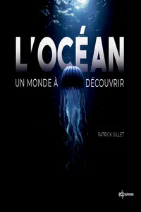 L'océan_cover