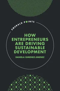 How Entrepreneurs are Driving Sustainable Development_cover