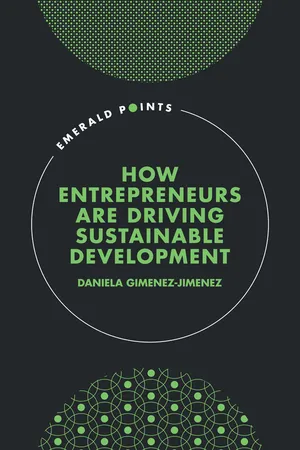 How Entrepreneurs are Driving Sustainable Development