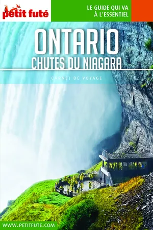ONTARIO - CHUTES DU NIAGARA 2019 Carnet Petit Futé