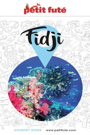 Guide Fidji 2024/2025 Petit Futé