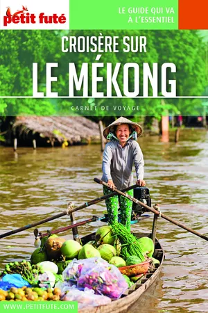 CROISIÈRE SUR LE MEKONG 2020 Carnet Petit Futé