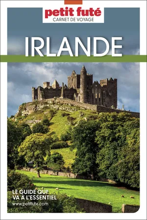 Guide Irlande 2024 Carnet Petit Futé