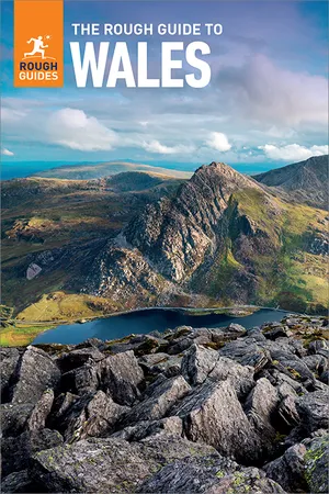 The Rough Guide to Wales: Travel Guide eBook