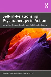 Self-in-Relationship Psychotherapy in Action_cover