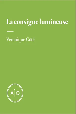 La consigne lumineuse