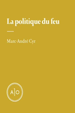 La politique du feu