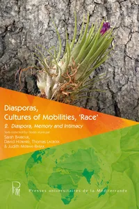 Diasporas, Cultures of Mobilities, ‘Race’ 2_cover