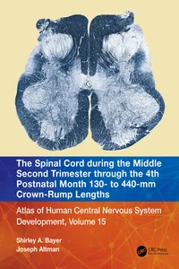The Spinal Cord during the Middle Second Trimester through the 4th Postnatal Month 130- to 440-mm Crown-Rump Lengths_cover