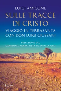 Sulle tracce di Cristo. Viaggio in Terrasanta con Luigi Giussani_cover