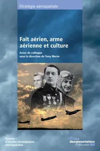 Fait aérien, arme aérienne et culture_cover