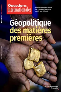 Questions Internationales : Géopolitique des matières premières - n°117_cover