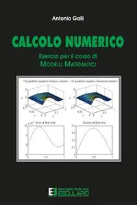 Calcolo numerico. Esercizi per il corso di modelli matematici_cover