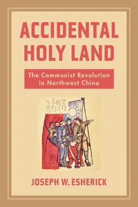 Accidental Holy Land_cover