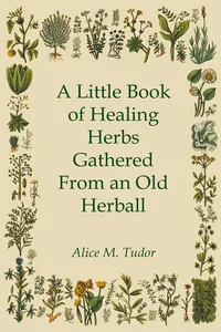 A Little Book of Healing Herbs Gathered From an Old Herball_cover