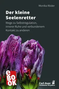 Der kleine Seelenretter_cover