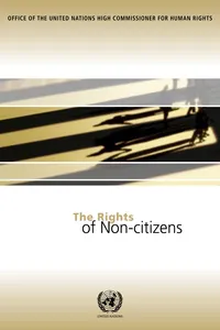 The Rights of Non-citizens_cover