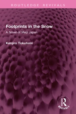 Footprints in the Snow