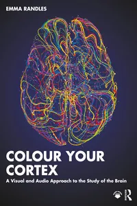 Colour Your Cortex_cover