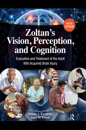 Zoltan's Vision, Perception, and Cognition