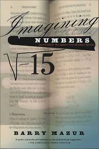 Imagining Numbers_cover