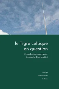 Le Tigre celtique en question_cover