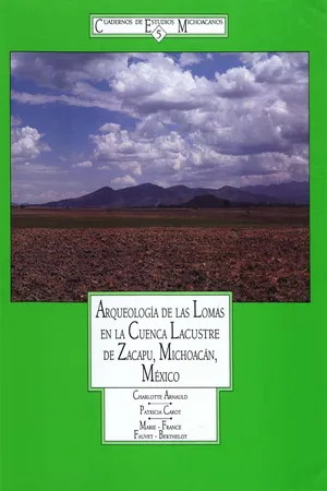 Arqueología de las Lomas en la cuenca lacustre de Zacapu, Michoacán, México