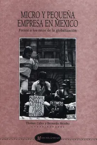 Micro y pequeña empresa en México_cover