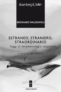 Estraneo, straniero, straordinario_cover