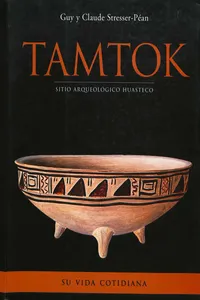 Tamtok, sitio arqueológico huasteco. Volumen II_cover