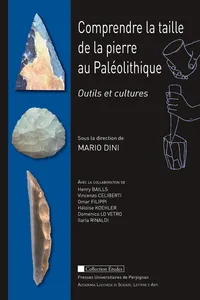 Comprendre la taille de la pierre au Paléolithique_cover