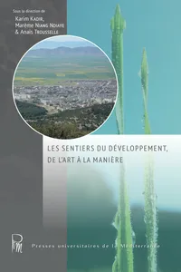 Les sentiers du développement, de l'art à la manière_cover