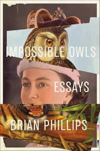 Impossible Owls_cover