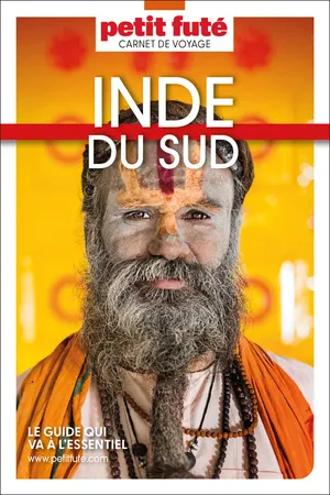Guide Inde Du Sud 2024 Carnet Petit Futé