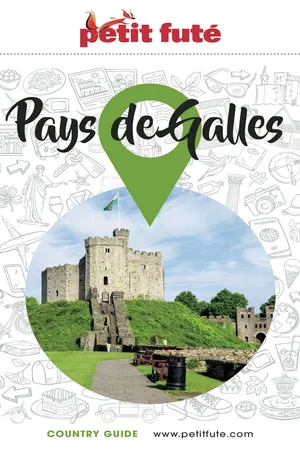 Guide Pays De Galles 2024/2025 Petit Futé