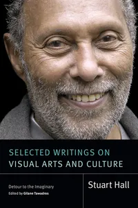 Selected Writings on Visual Arts and Culture_cover