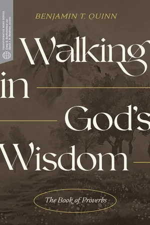 Walking in God's Wisdom (Transformative Word)