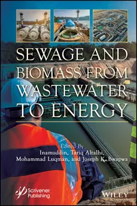 Sewage and Biomass from Wastewater to Energy_cover