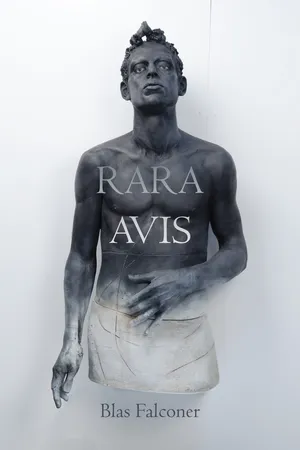 Rara Avis